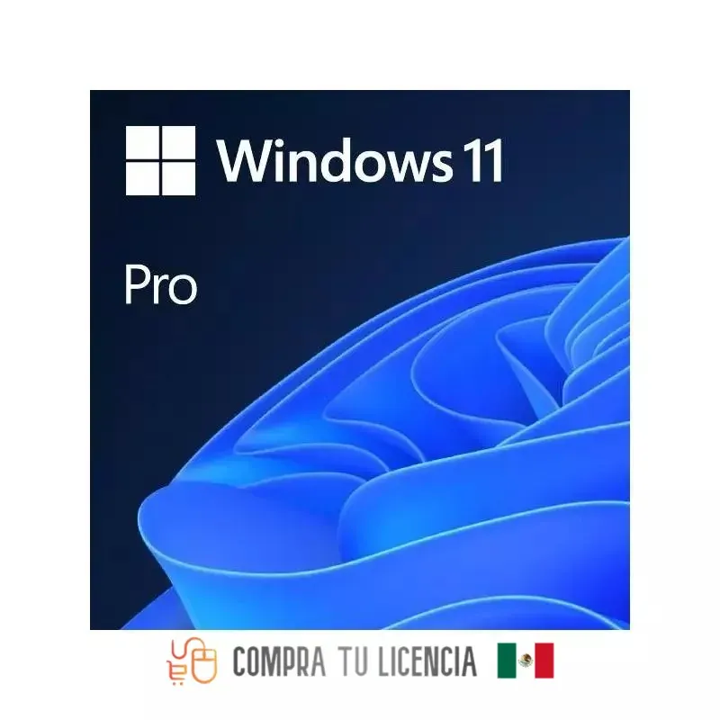 Windows 11 Pro